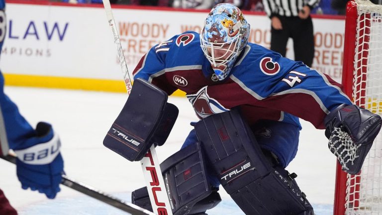 Goalie alternance emerging as a new system in the NHL